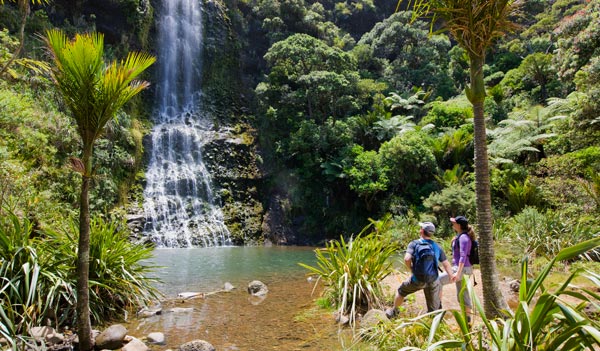 Mclean Falls, New Zealand, Arranged Travel booking and packages